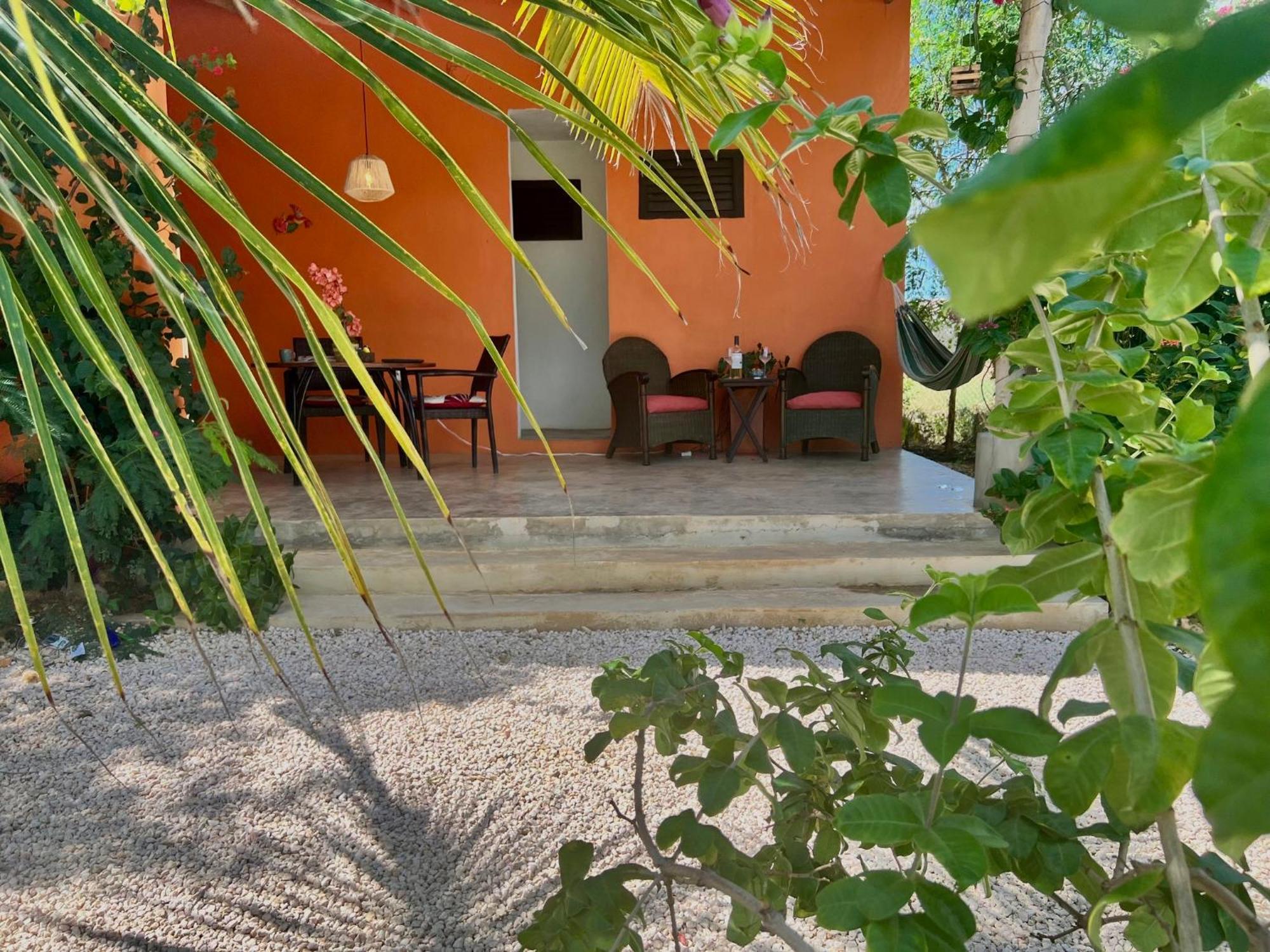 The Octopus Tropical Oasis Bed & Breakfast Sint Michiel