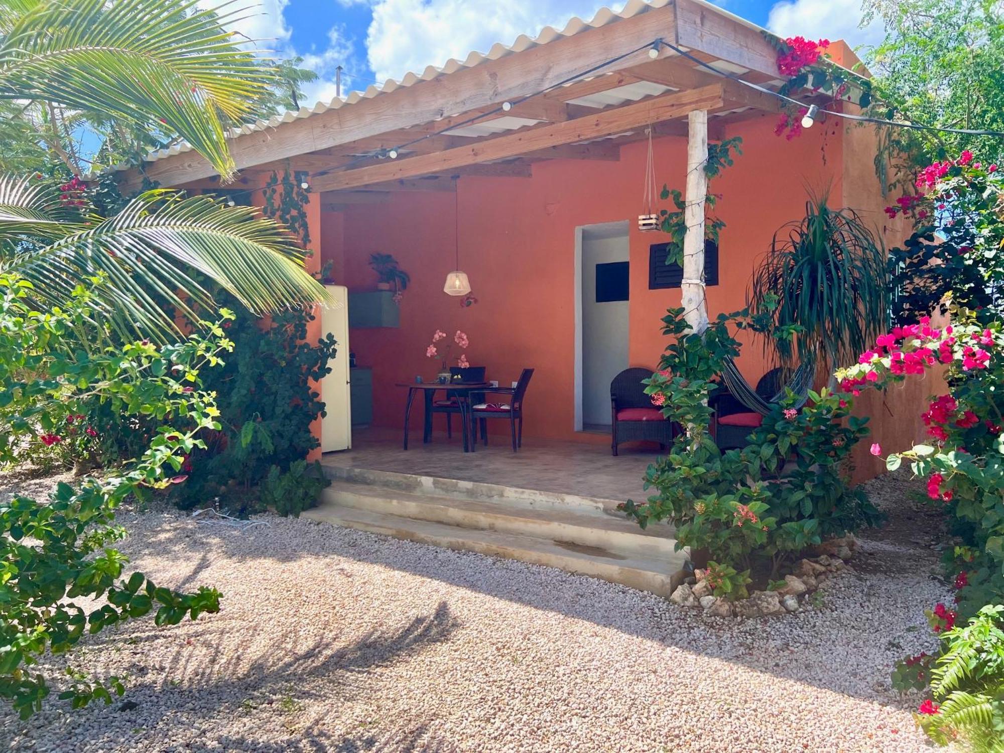 The Octopus Tropical Oasis Bed & Breakfast