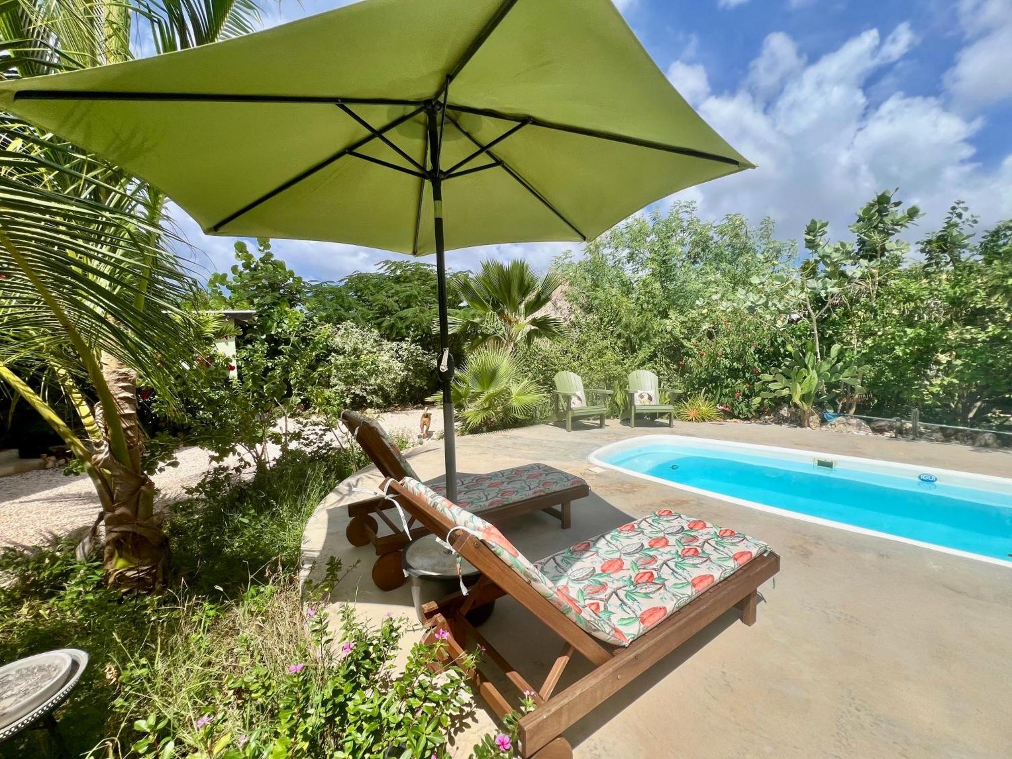 Bed & Breakfast The Octopus Tropical Oasis