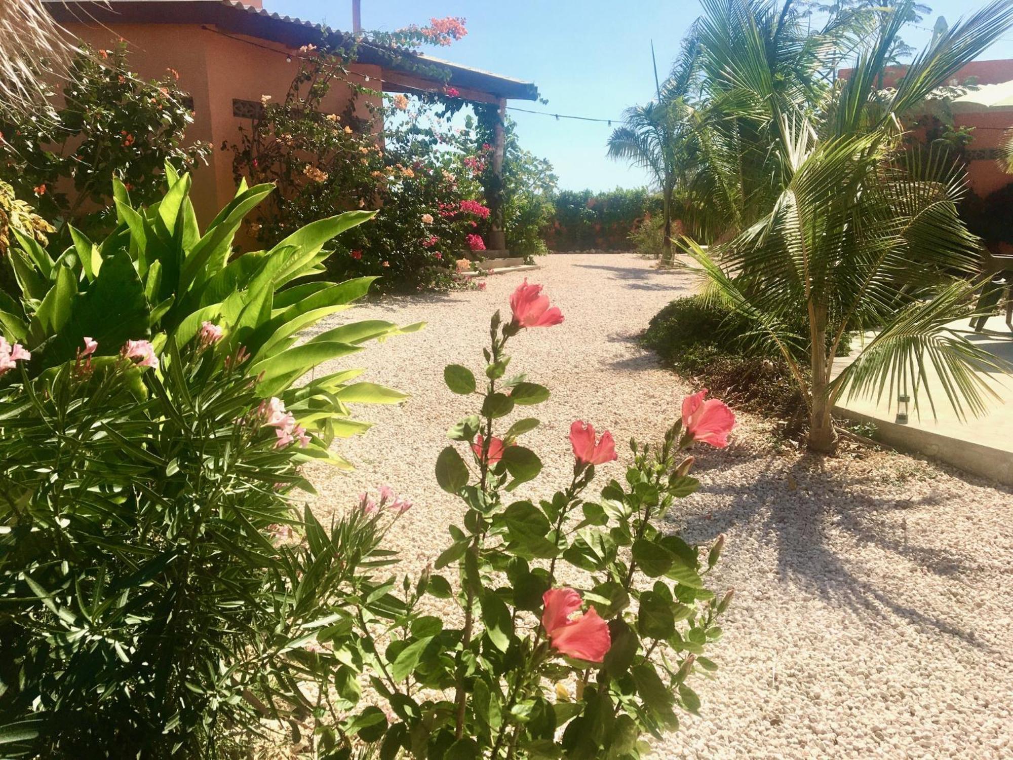 The Octopus Tropical Oasis Bed & Breakfast Sint Michiel