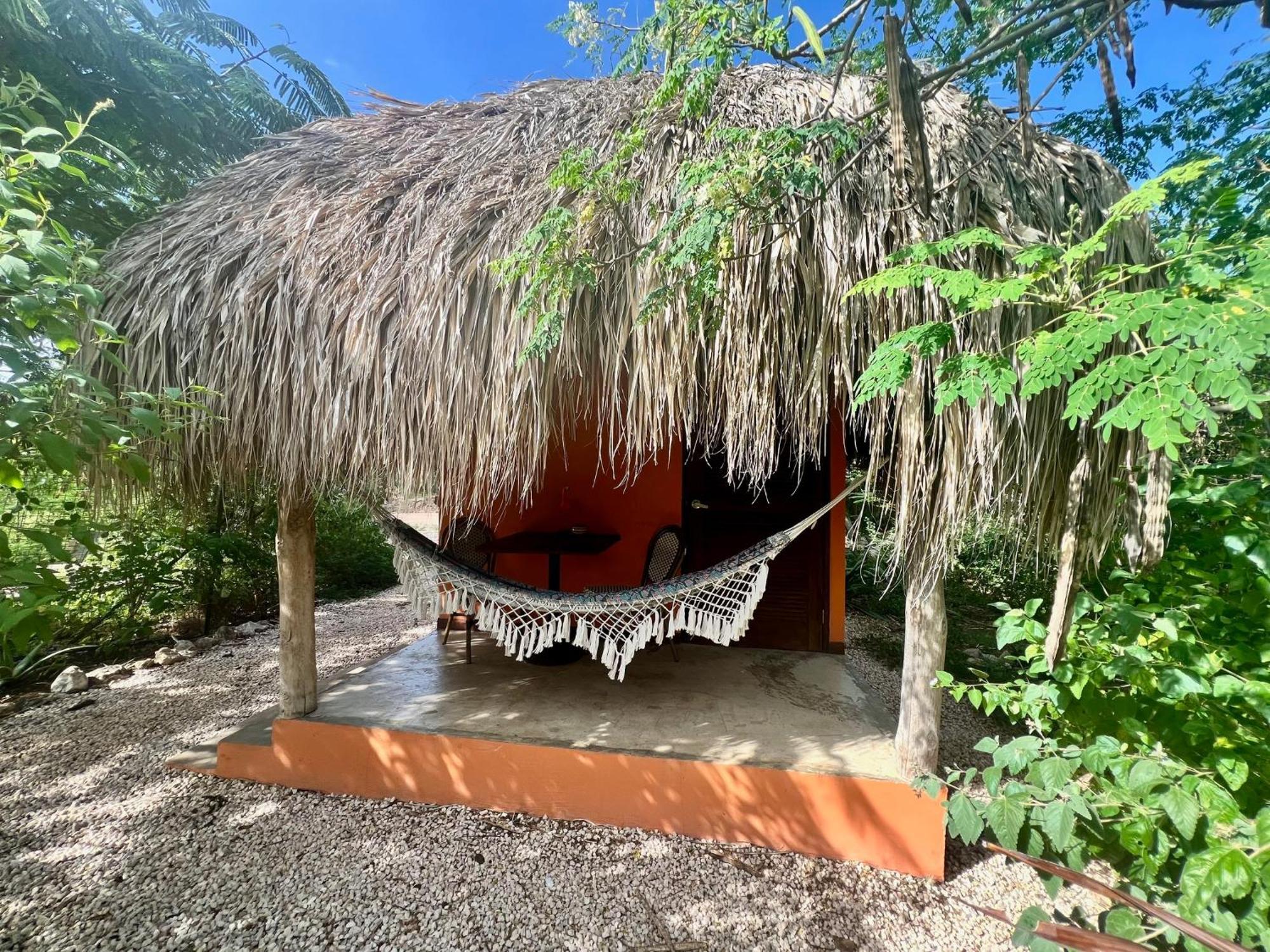 Bed & Breakfast The Octopus Tropical Oasis Sint Michiel