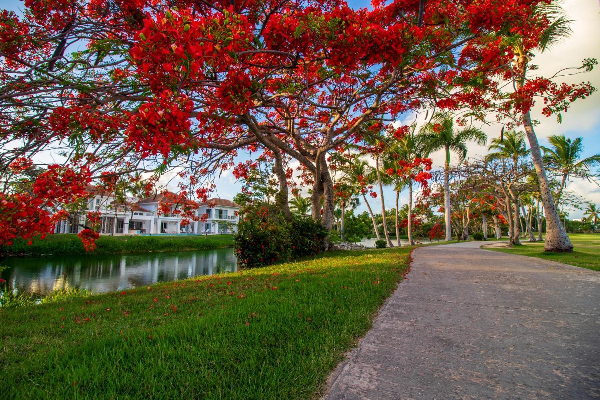 Pousada Luxury In - Exclusive Waterfall With Private Pool, Bbq, Maid, Golf Punta Cana