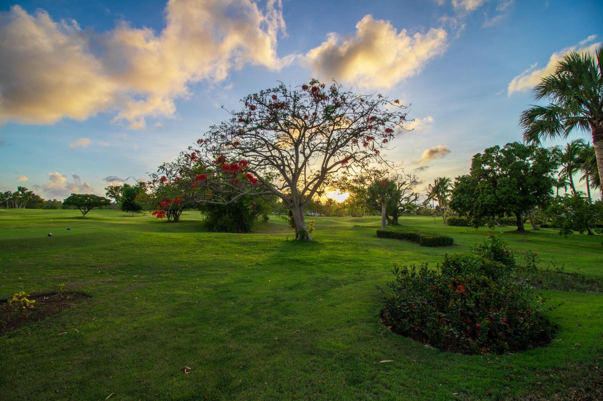 Luxury In - Exclusive Waterfall With Private Pool, Bbq, Maid, Golf Pousada Punta Cana