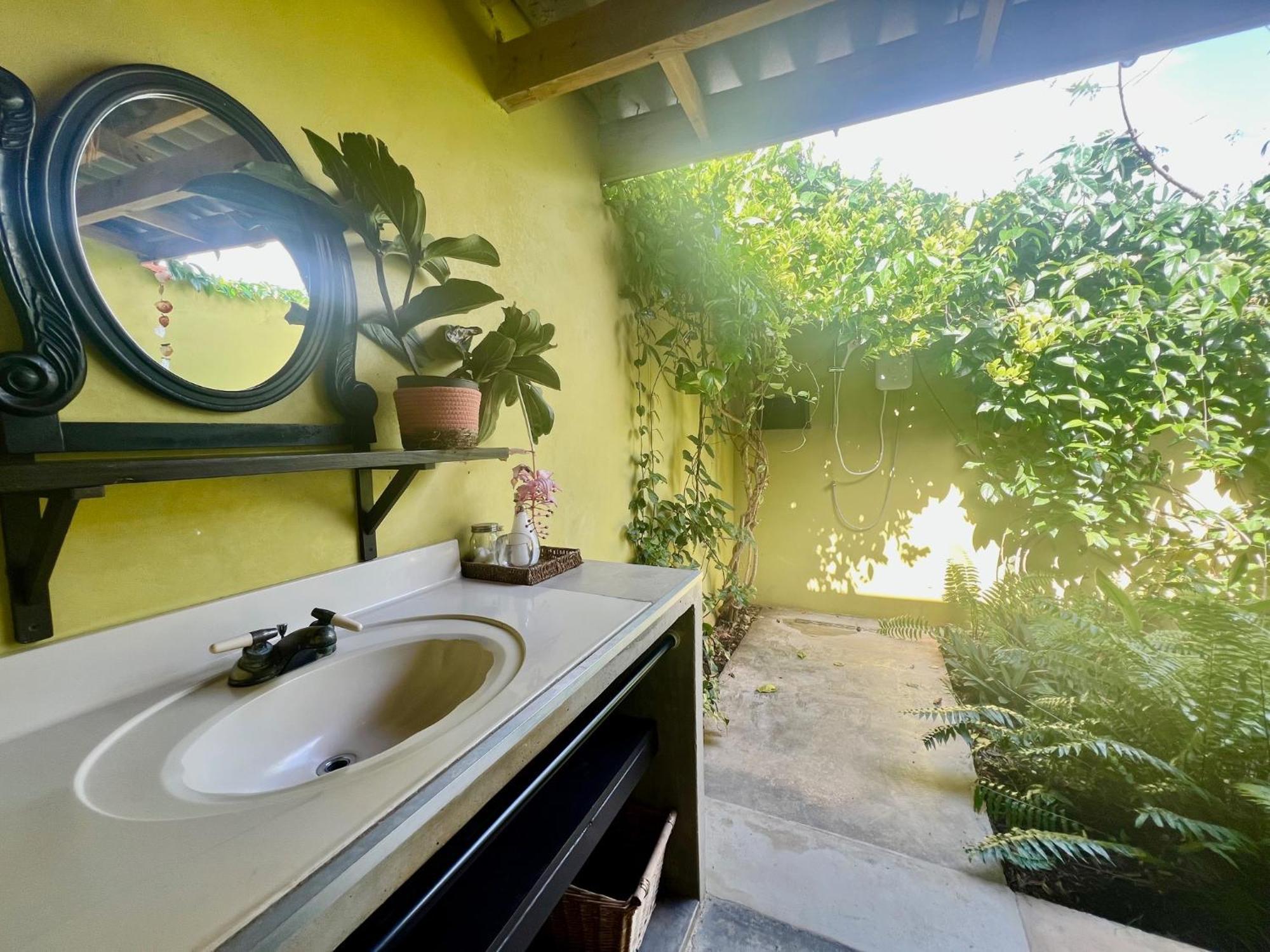 The Octopus Tropical Oasis *