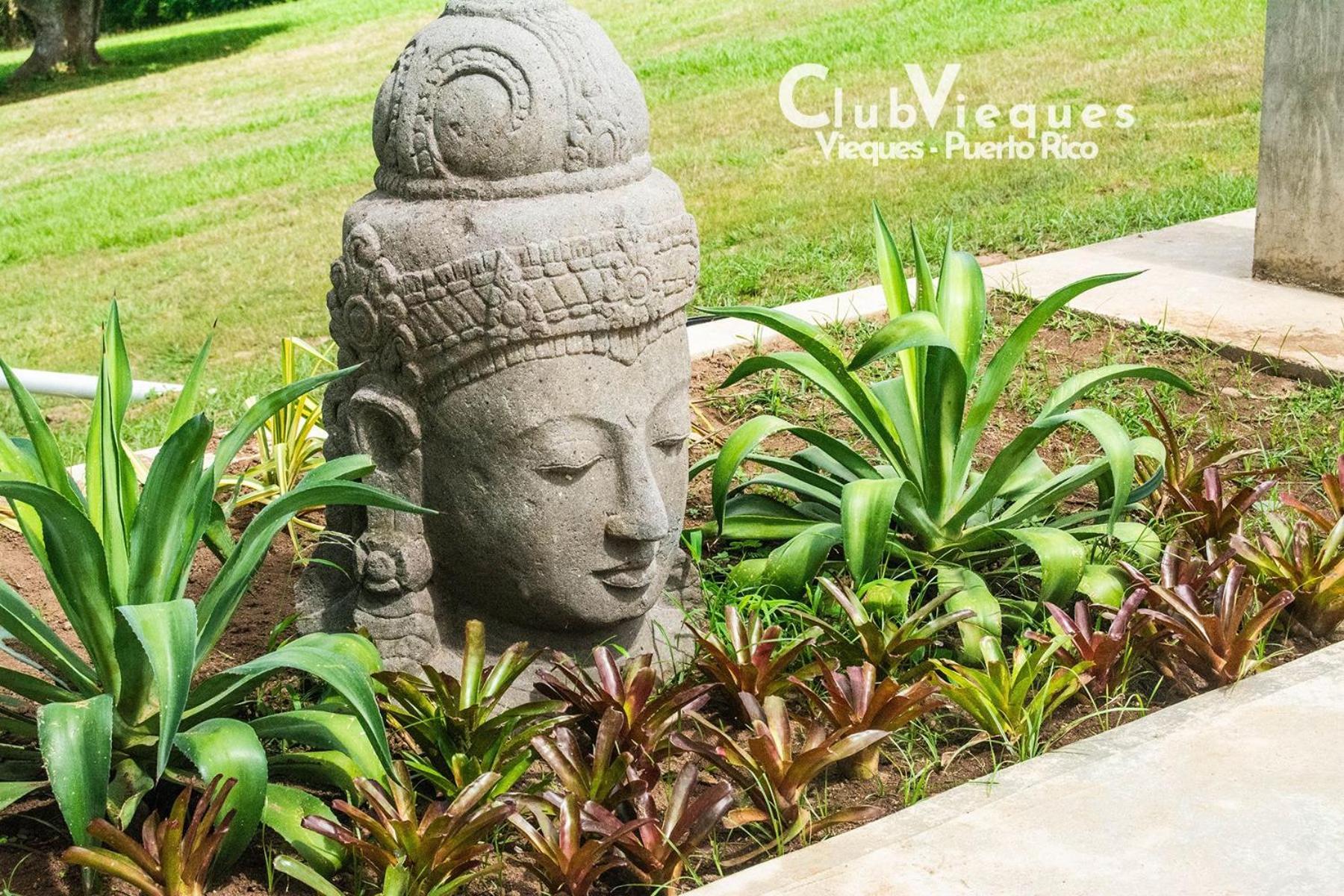 Club - Adults Only - Lgbt Friendly 4* Vieques
