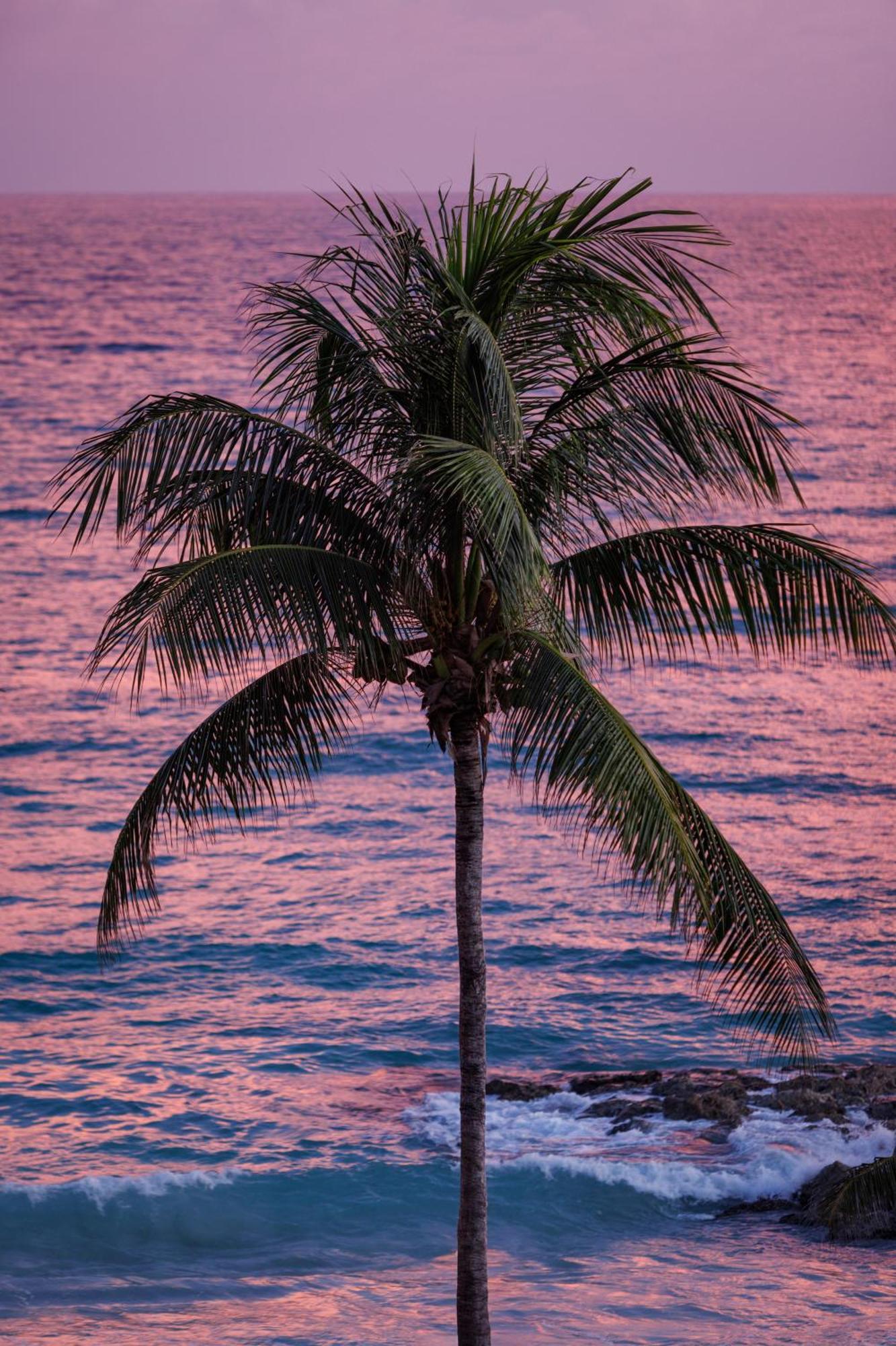 Resort Sandals Barbados - Couples Only (adults Only) 5*