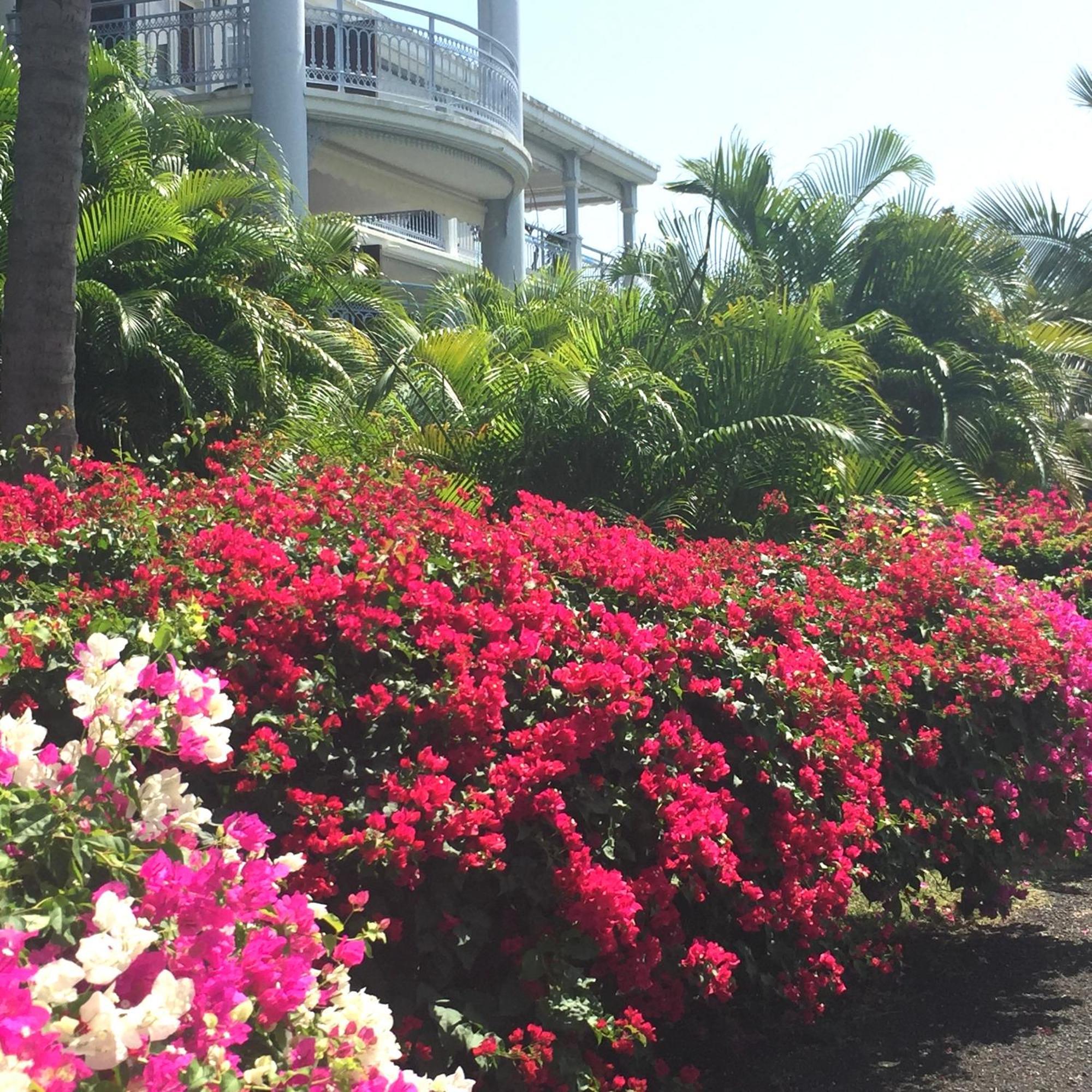 Kazalou Apartment Saint-Francois (Grande-Terre)