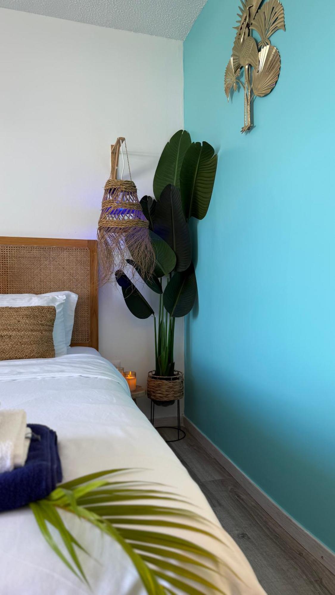 Caraibes 1 - Superbe Cosy