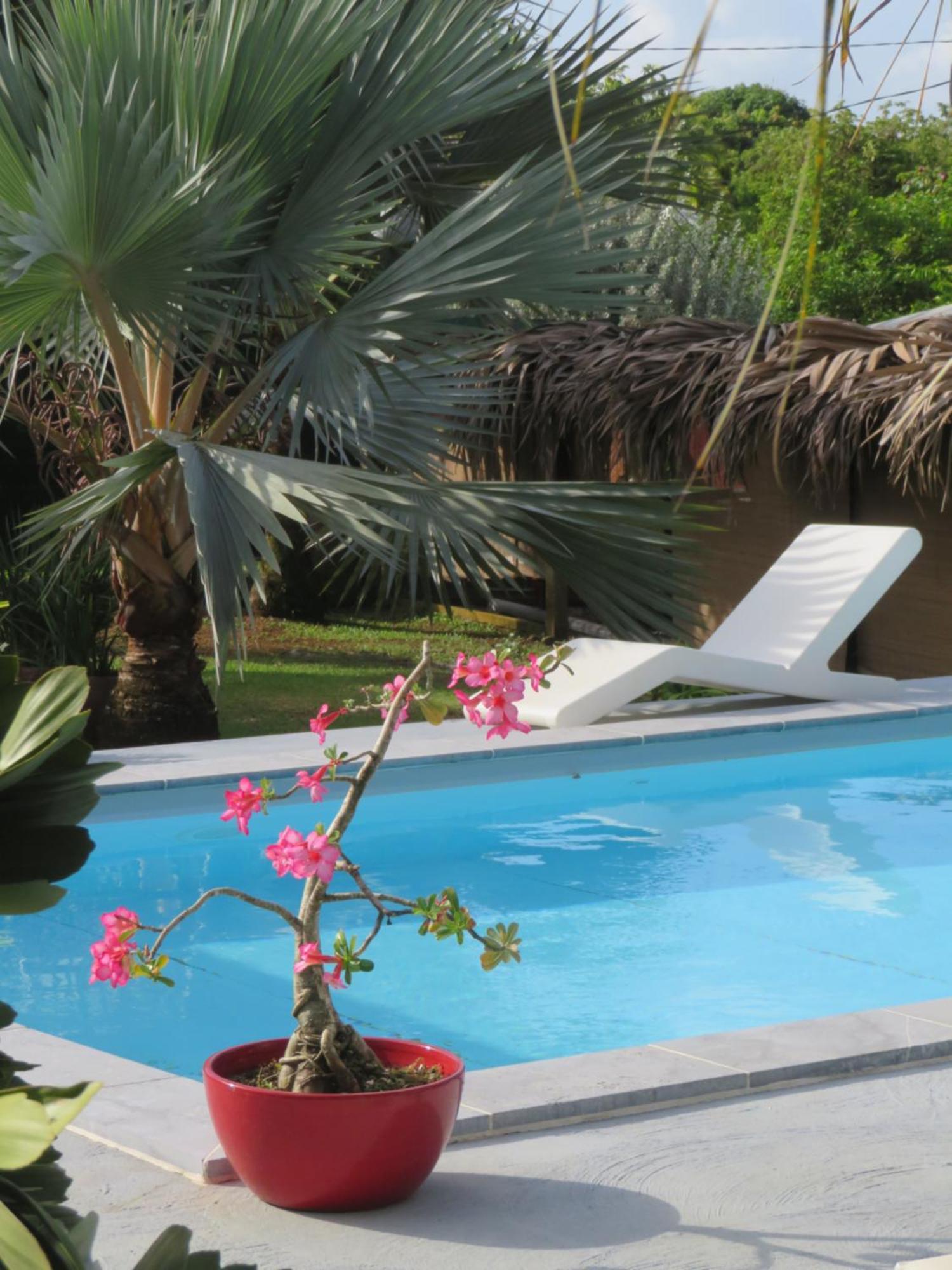 Le Baobab Rouge - Reservee Aux Femmes Guest house *