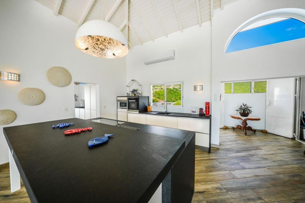 Villa Villado Luxury - Sint Marteen Dawn Beach
