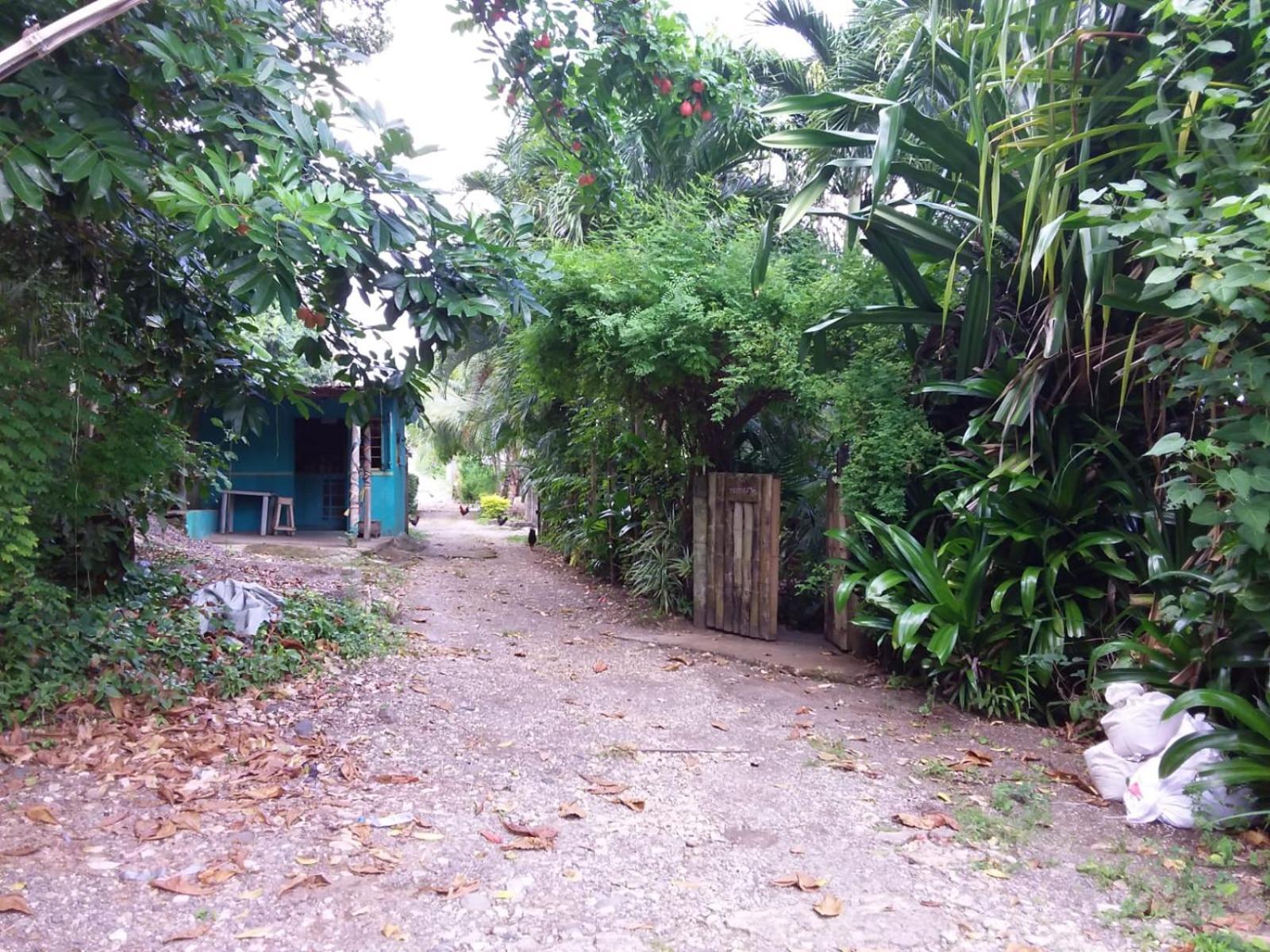 Brian's House Acomodação com café da manhã  Port Antonio