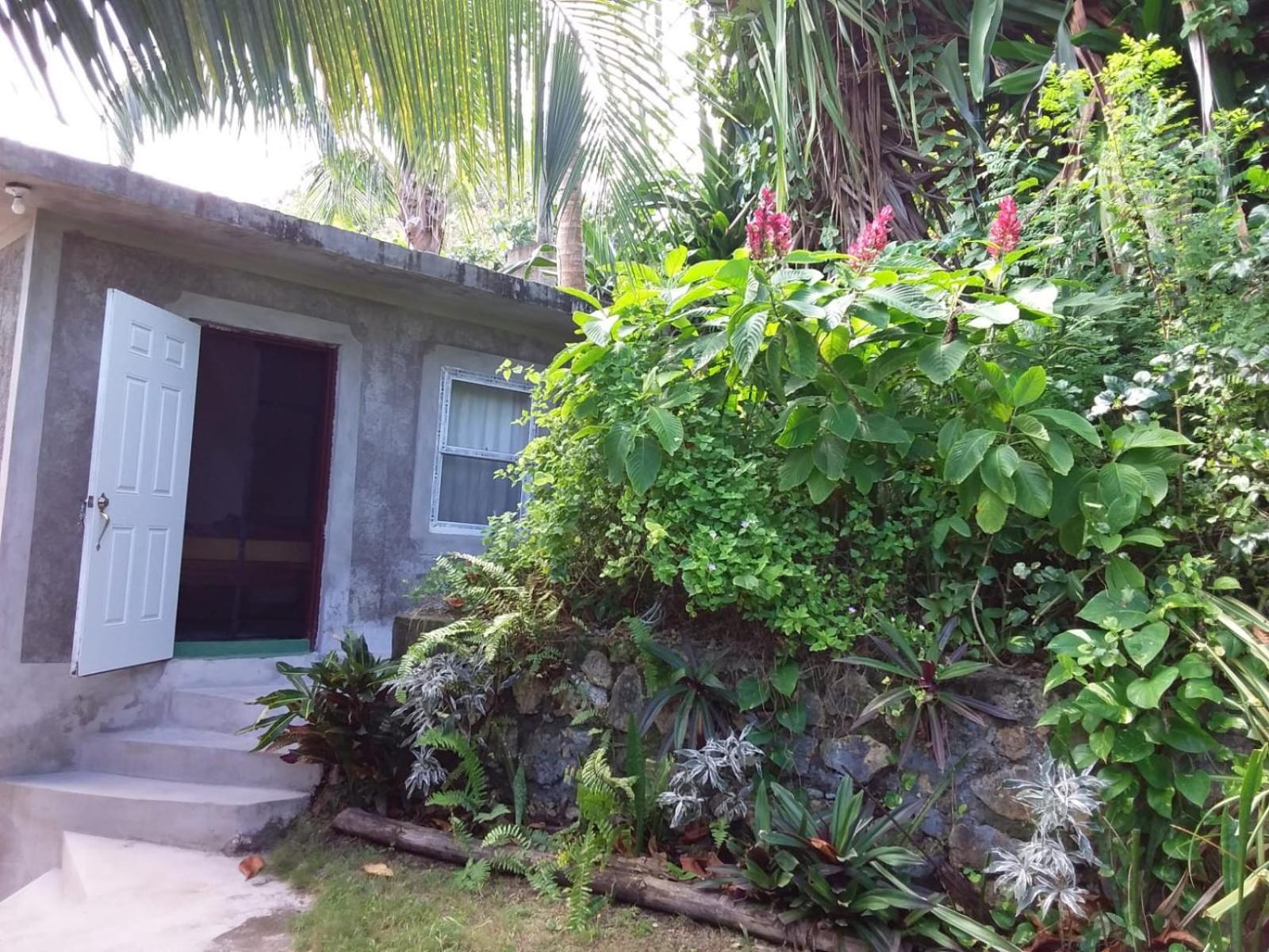 Brian's House Acomodação com café da manhã  Port Antonio