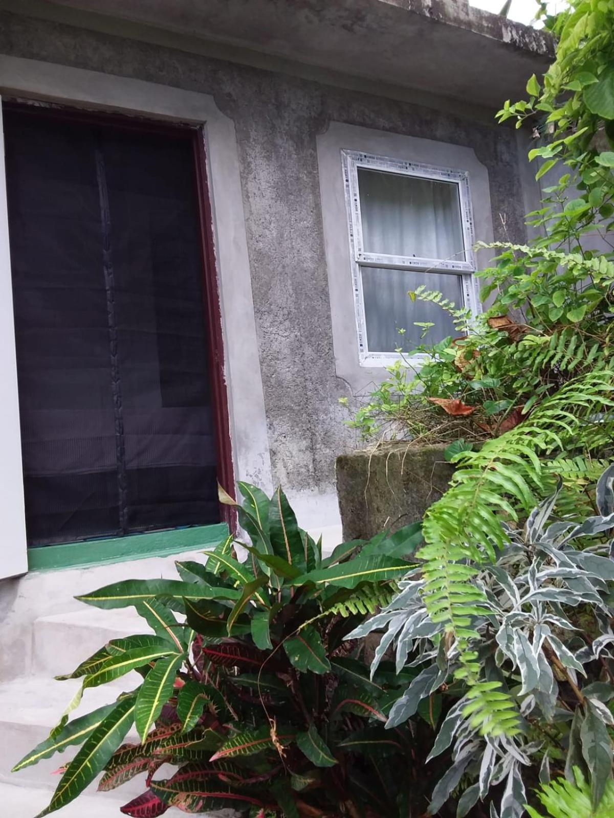 Brian's House * Port Antonio