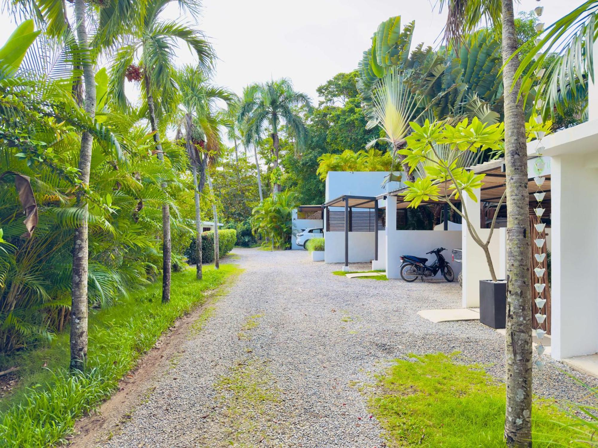 Apartment Soul Dream Bonita Las Terrenas