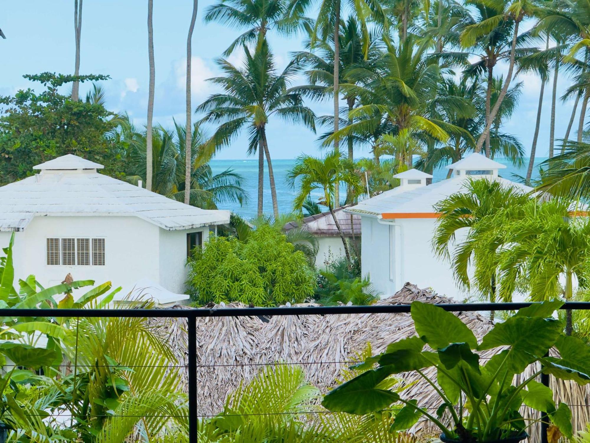 Soul Dream Bonita * Las Terrenas