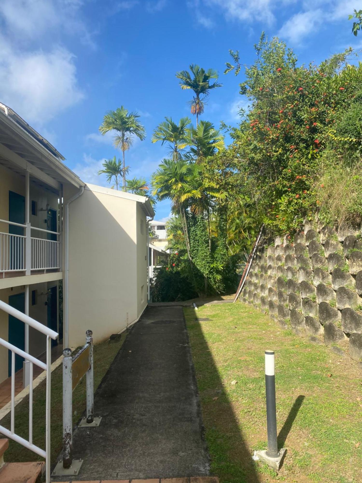 Evasion Tropicale A
