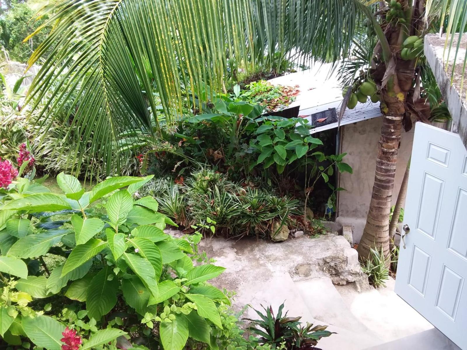 Brian's House * Port Antonio