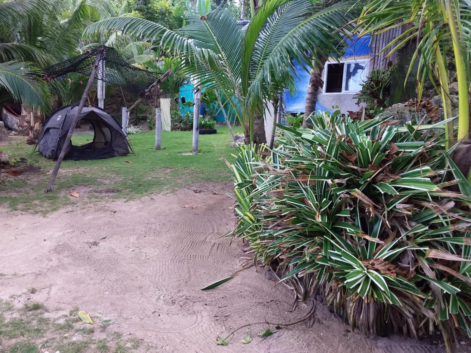 Brian's House