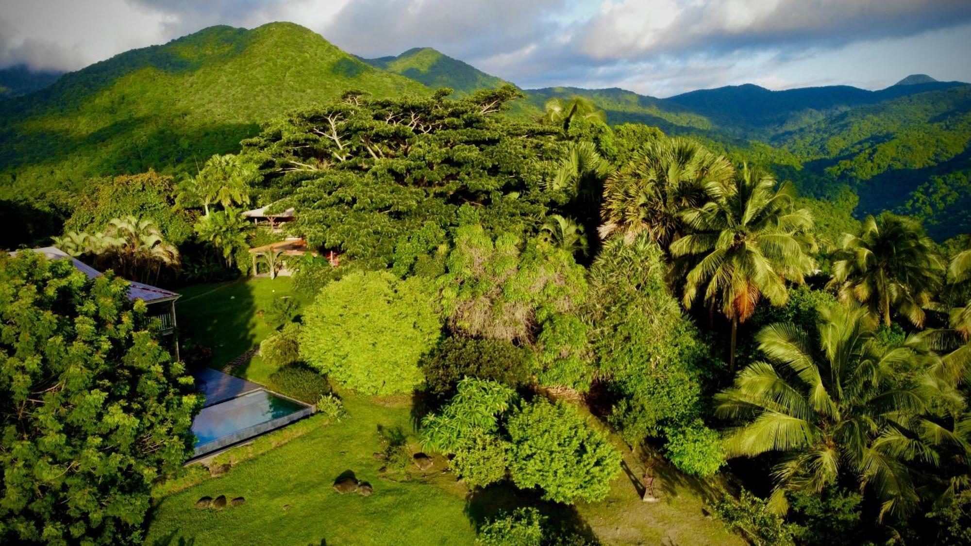 Guest house Habitation Cafeiere Samana Beausejour - Pointe-Noire