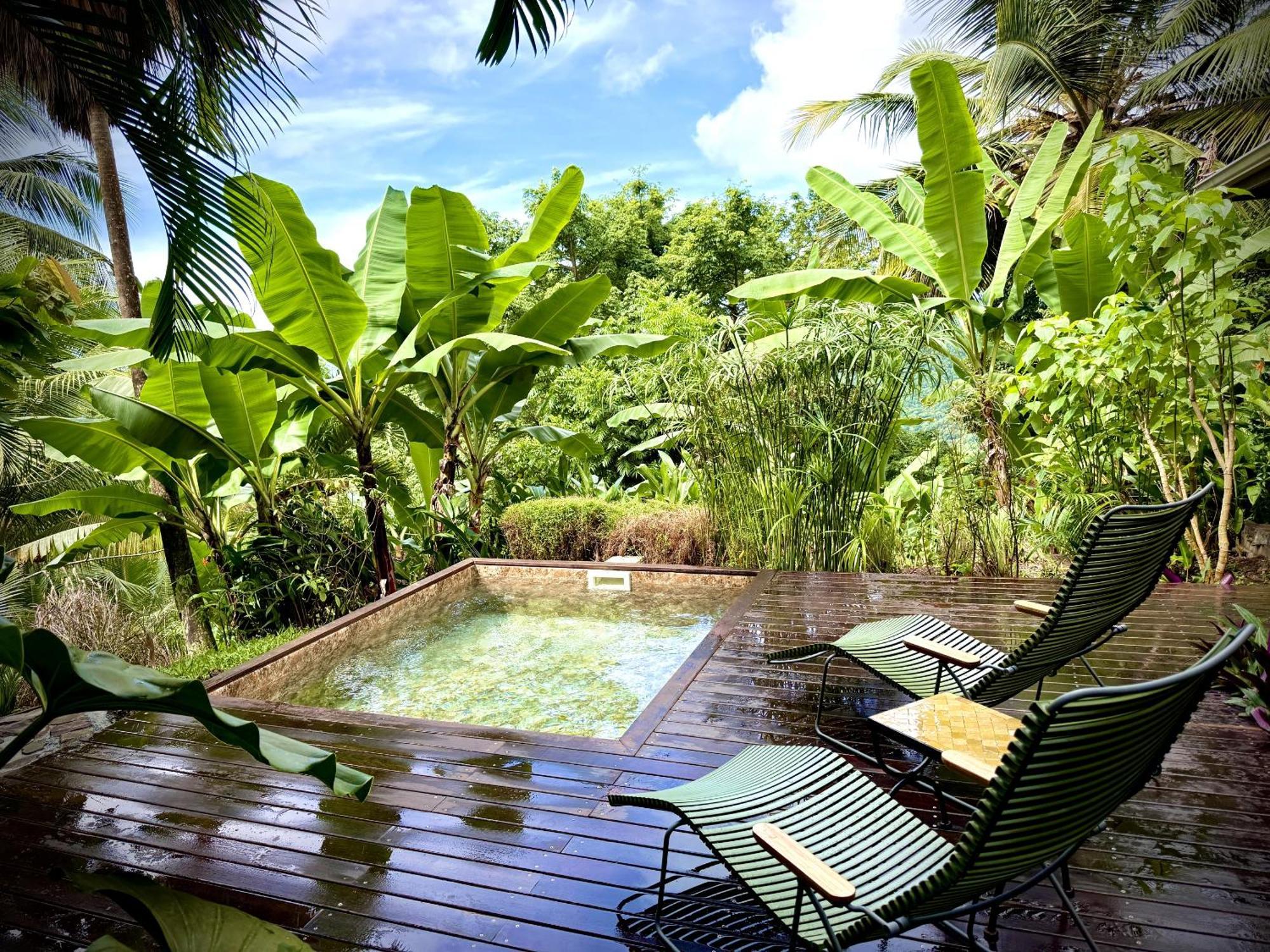 Habitation Cafeiere Samana Beausejour - Pointe-Noire