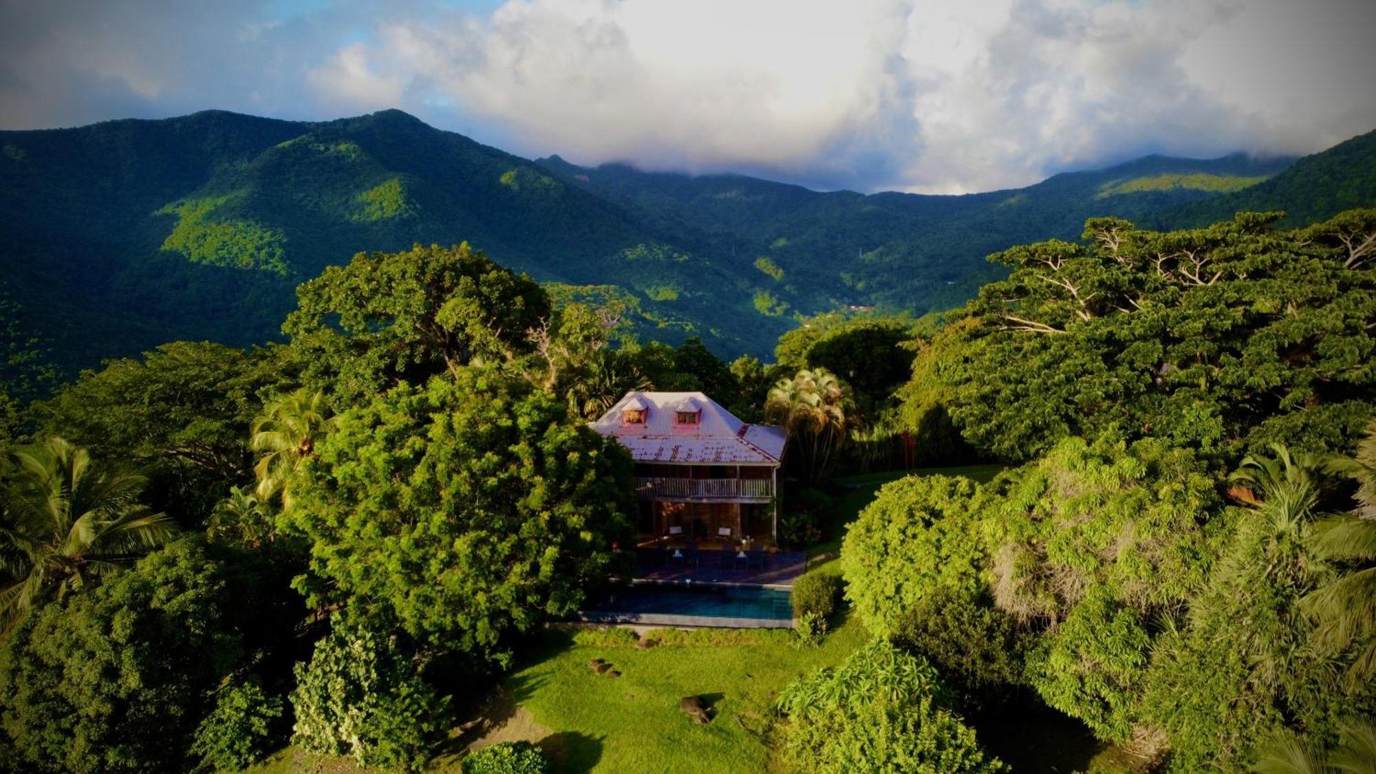 Guest house Habitation Cafeiere Samana Beausejour - Pointe-Noire
