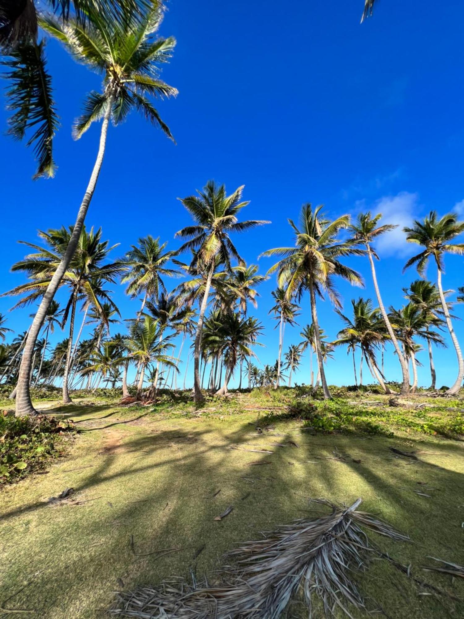 Casas Leon Casita De Playa #2 Holiday home Samana