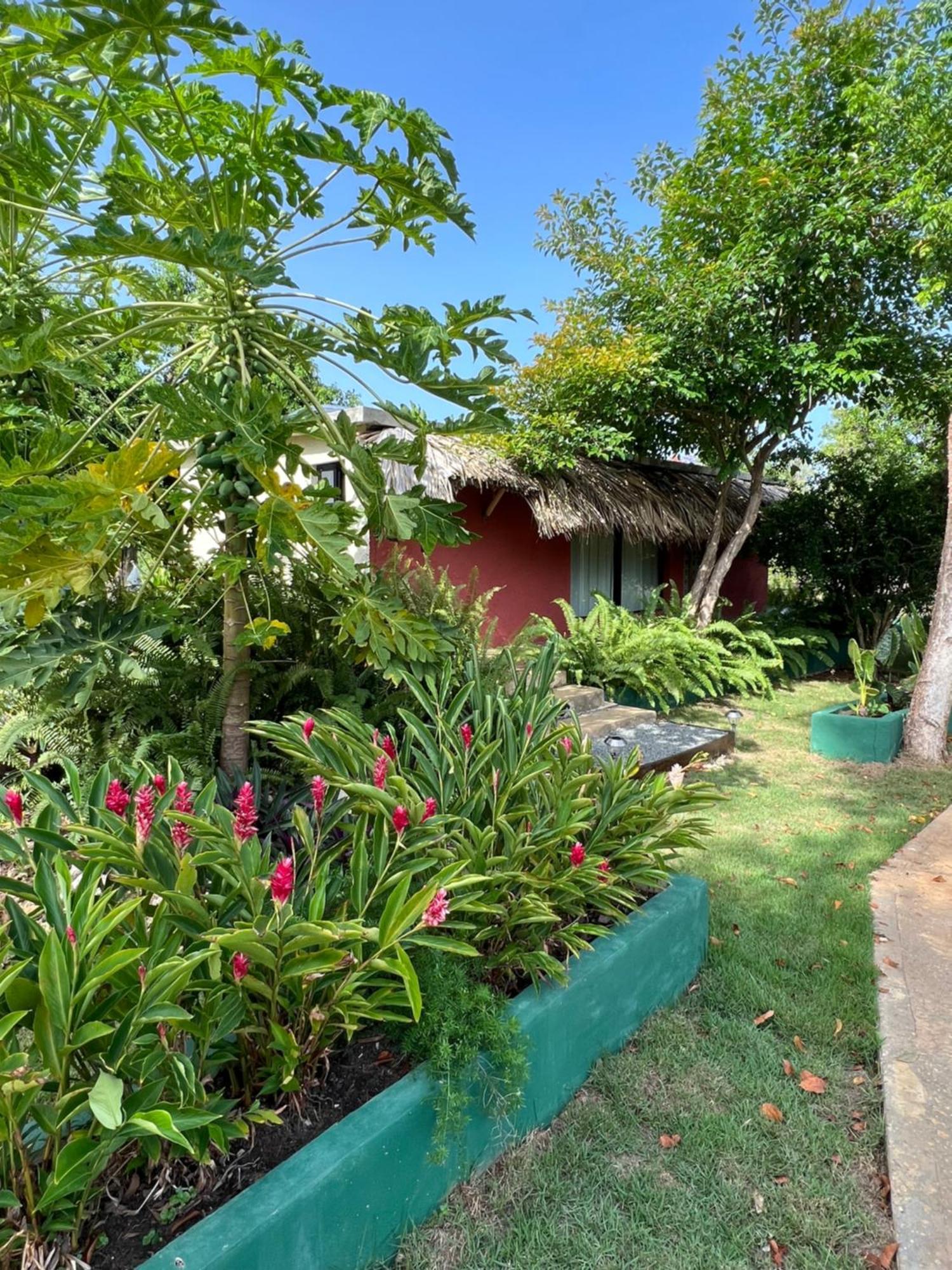Casas Leon Casita De Playa #2 Holiday home