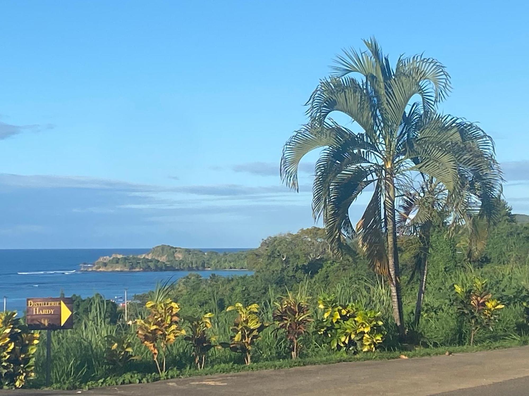 Apartment Evasion Tropicale A *