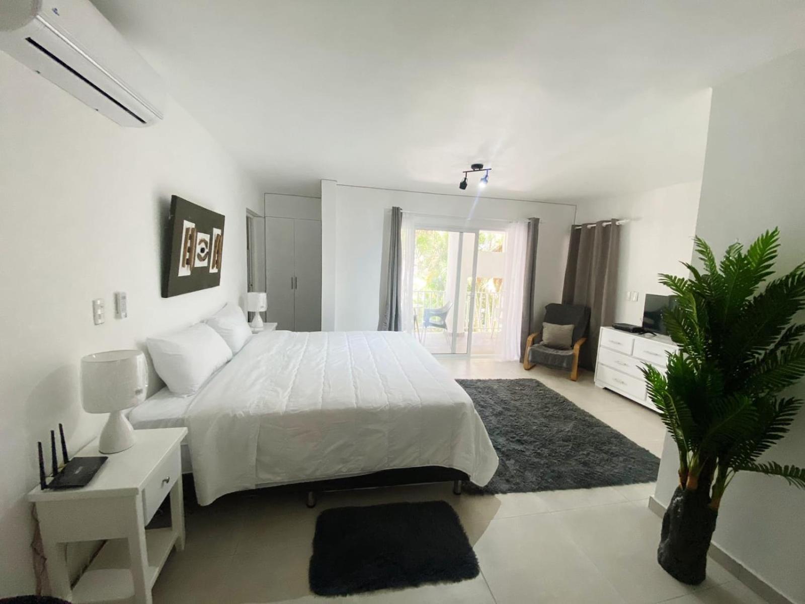 Kite & Apartment Cabarete