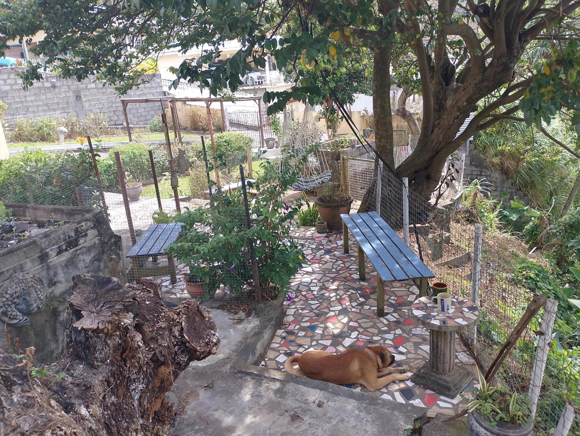 The Garifuna Retreat Kingstown
