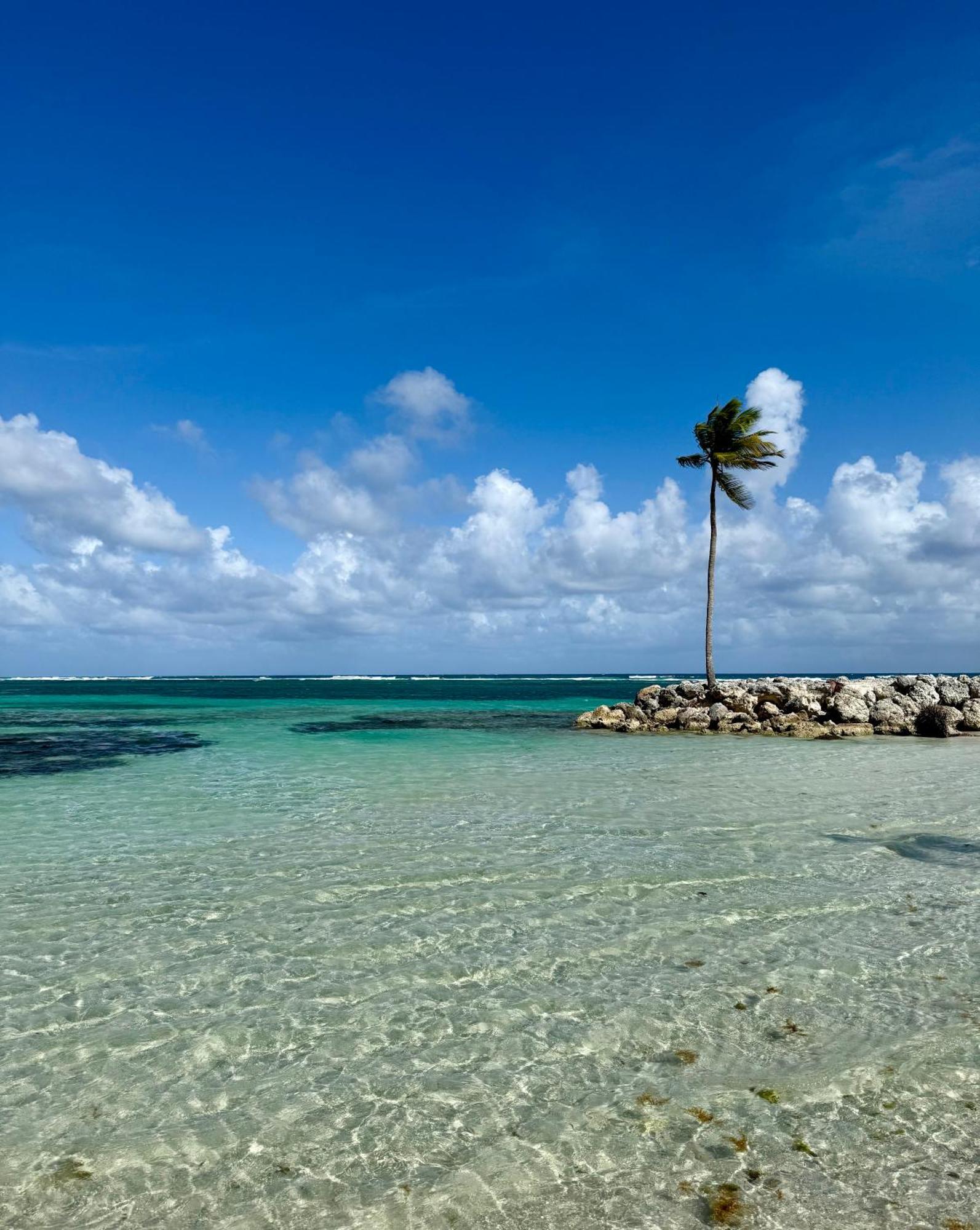 T2 Vue Avec Acces Direct Lagon Et 5 Min Apartamento