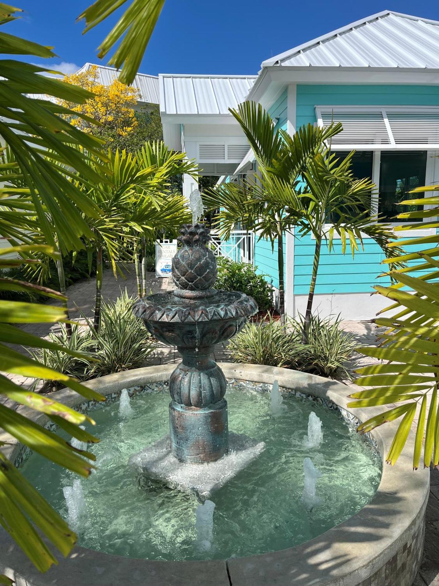 Pousada Dolphin Cove (adults Only)