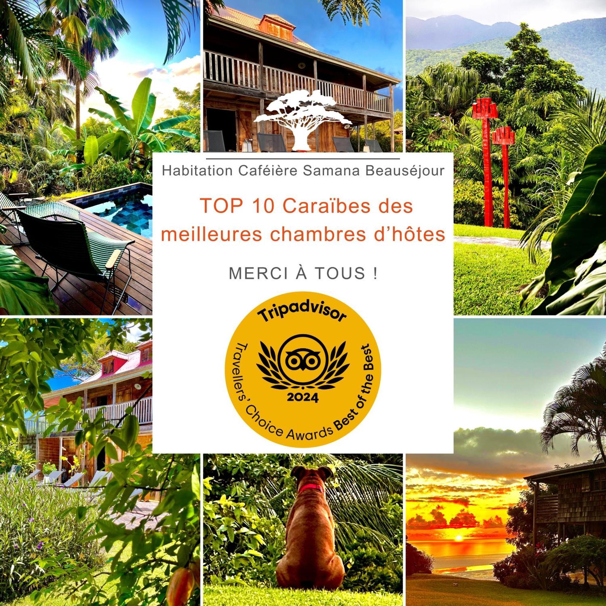 Guest house Habitation Cafeiere Samana Beausejour - *