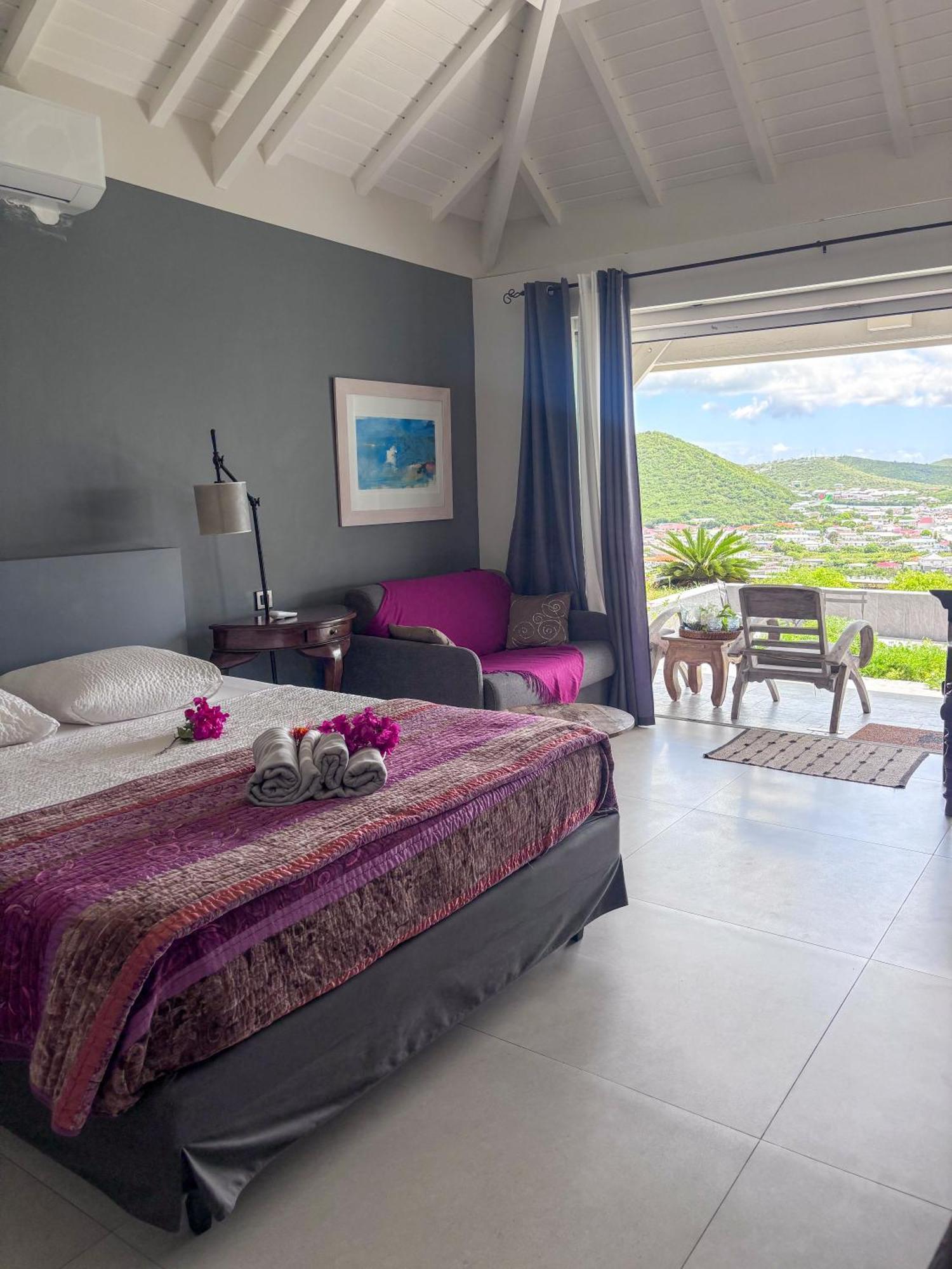 Carribbean Hill - Stunning View And Infinity Pool Guest house
