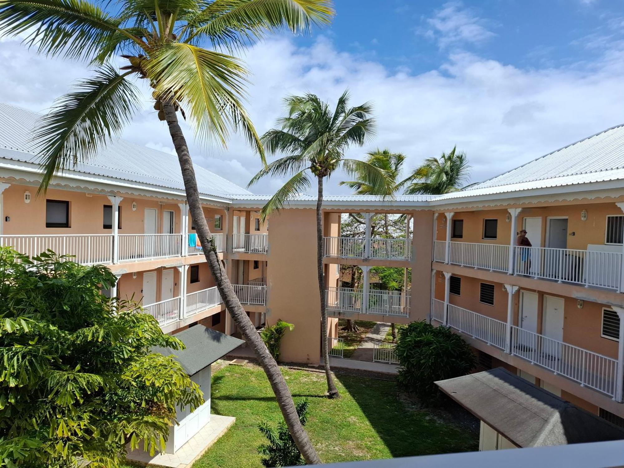 Just In Paradise * Baie Nettle