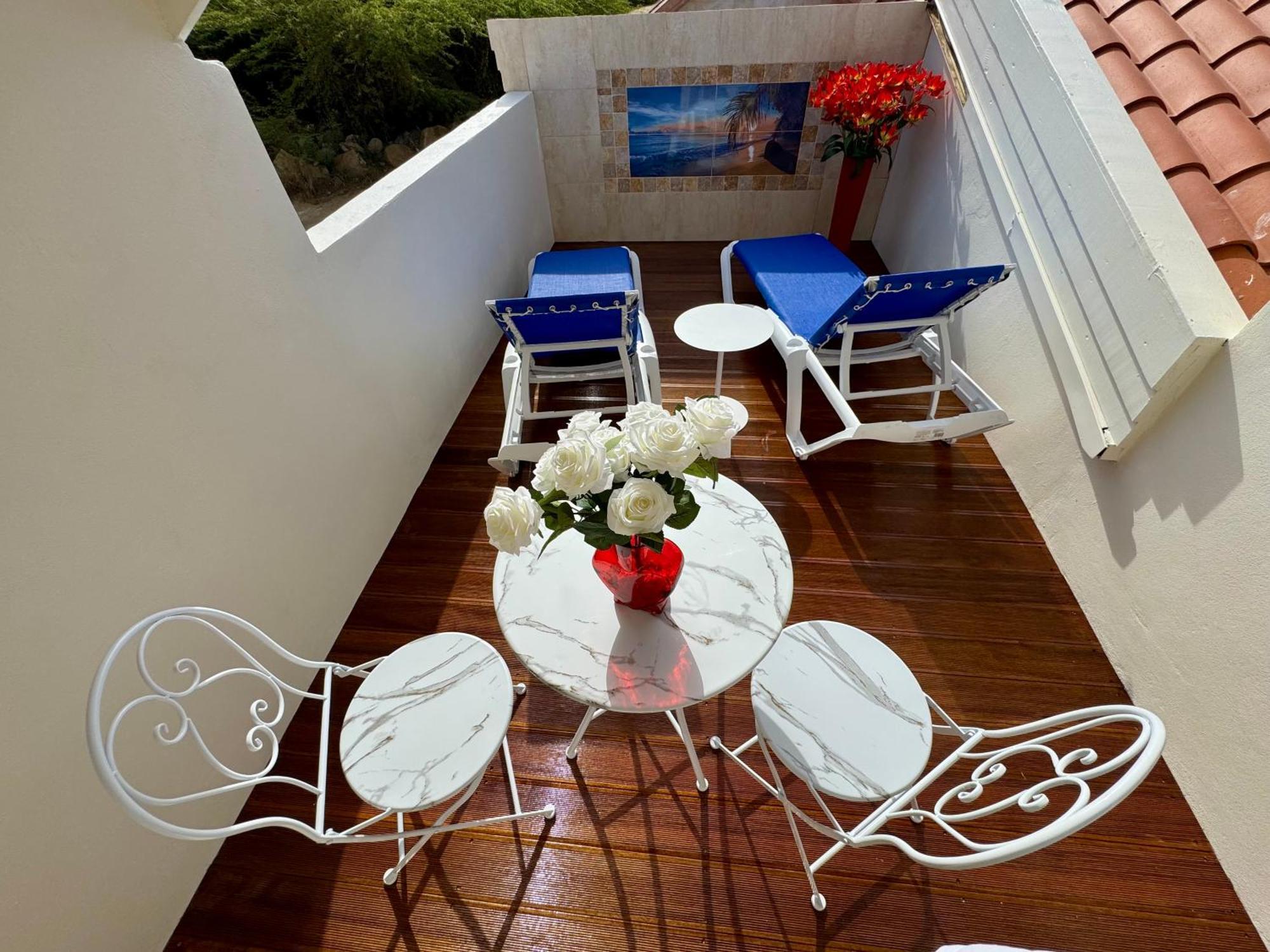 Boutique Swiss Paradise Aruba And Palm Beach