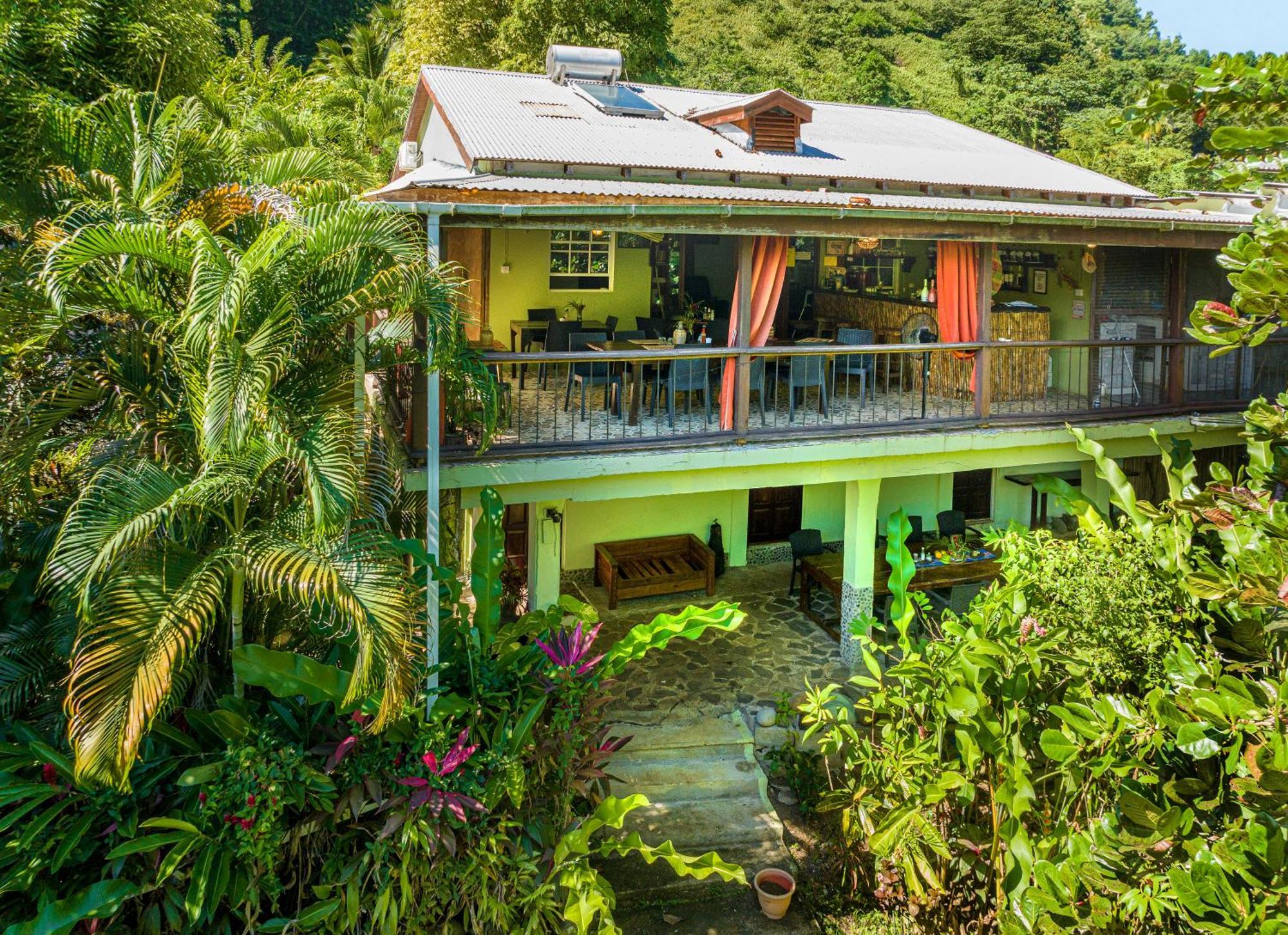 Hibiscus Valley Marigot