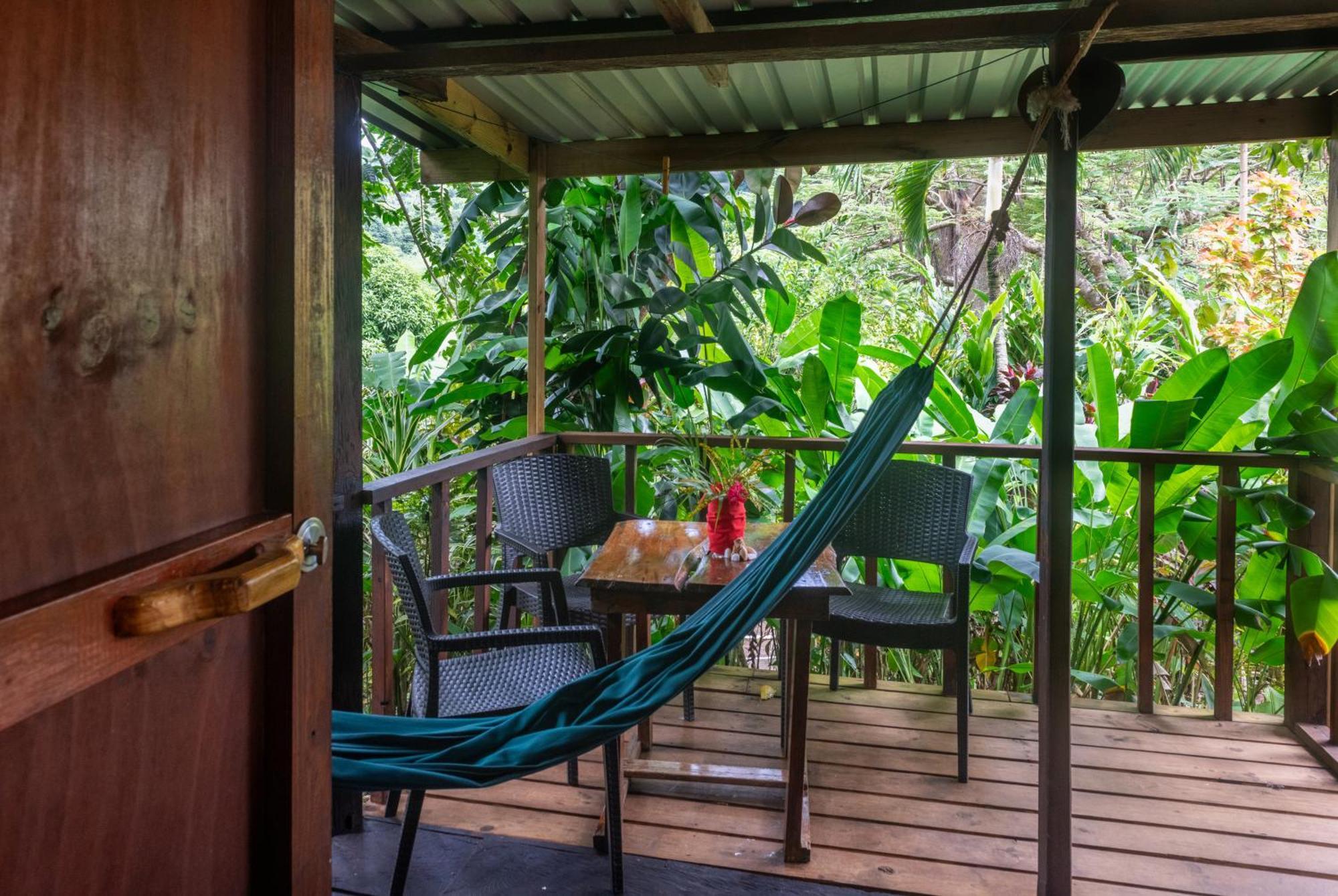 Inn Hibiscus Valley 3*