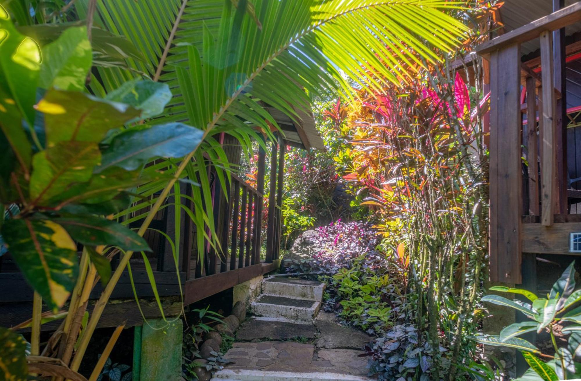 Hibiscus Valley 3* Marigot