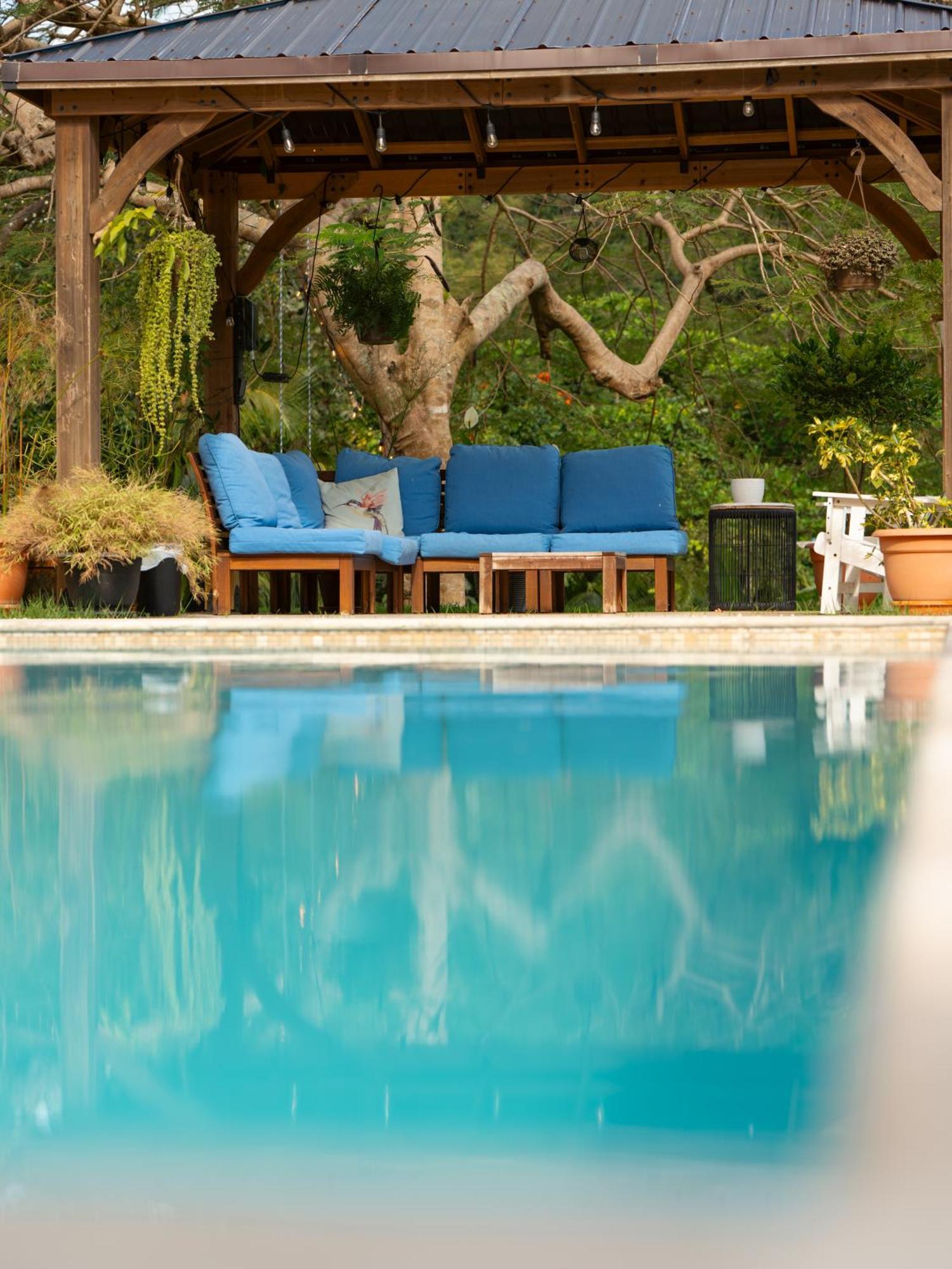 Bed & Breakfast The Serene House Luquillo