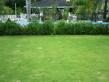 Hotel Paradise Brandon Hill 2*