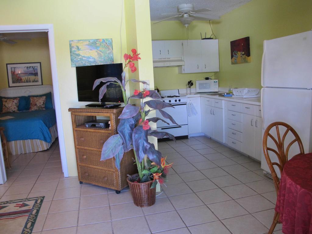 Eldemire's Tropical Island 3* George Town