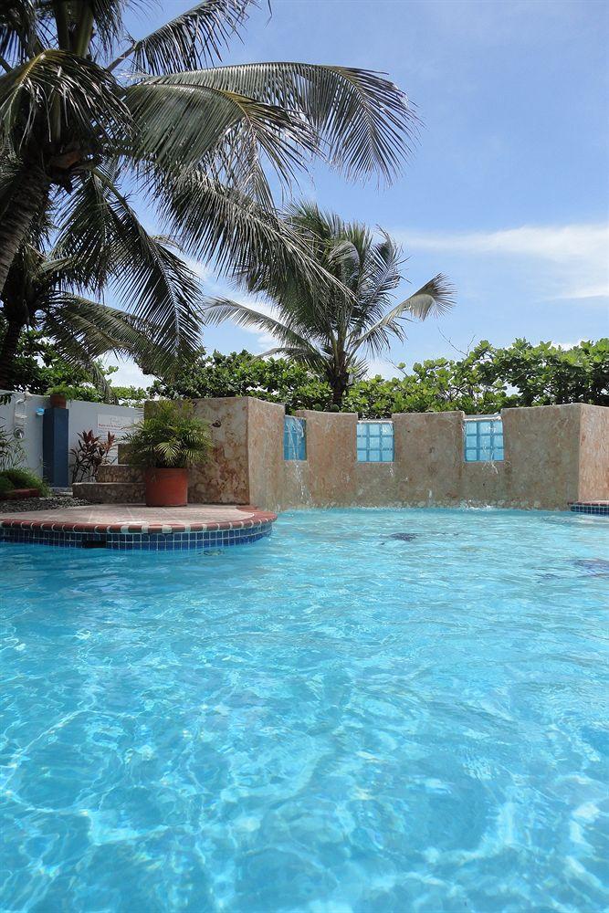 The Guest house