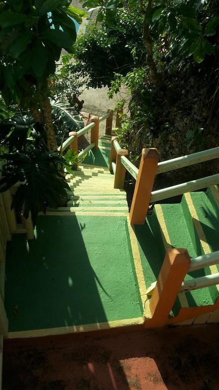 Pimento Lodge Port Antonio
