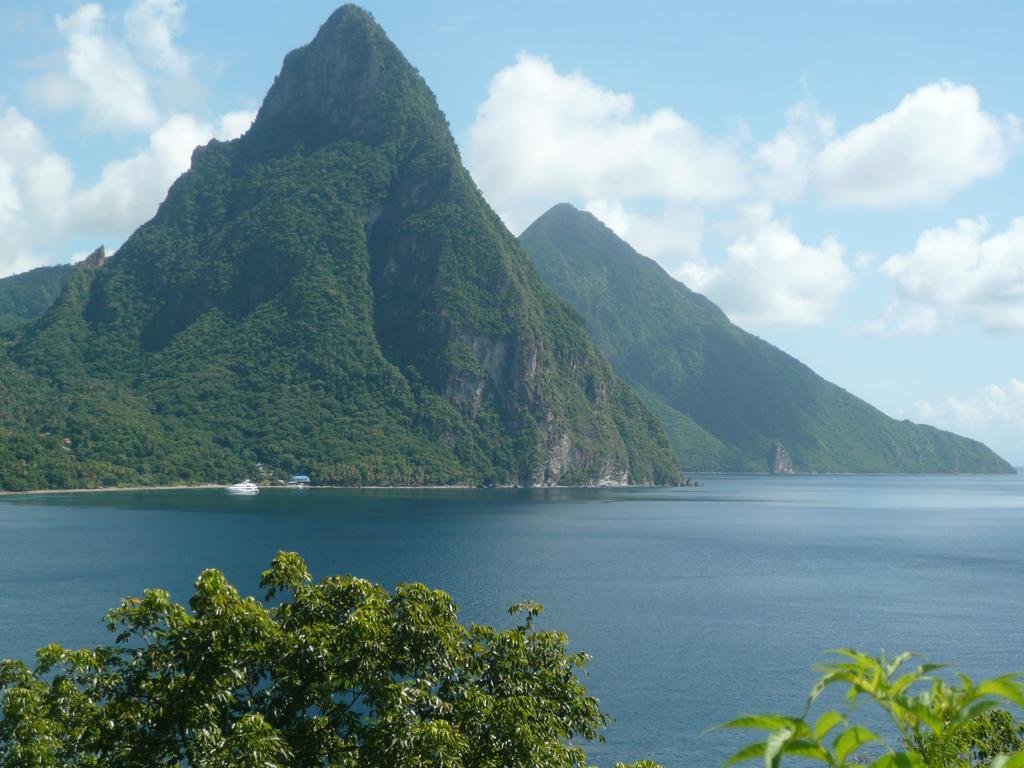 Palm Castries
