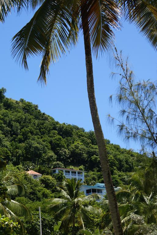Palm Lodge
