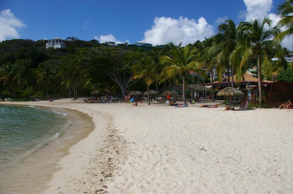 Lelagon Vue Mer, Pieds Dans L'eau Saint-Francois (Grande-Terre)