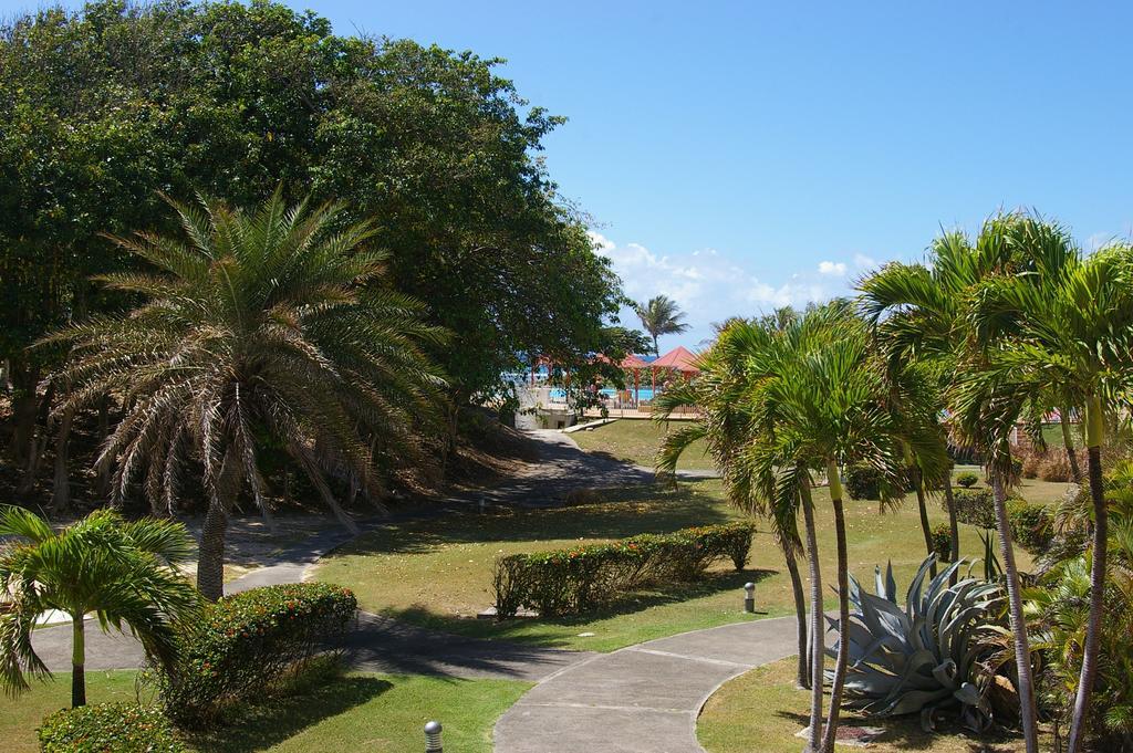 Apartment Lelagon Vue Mer, Pieds Dans L'eau *