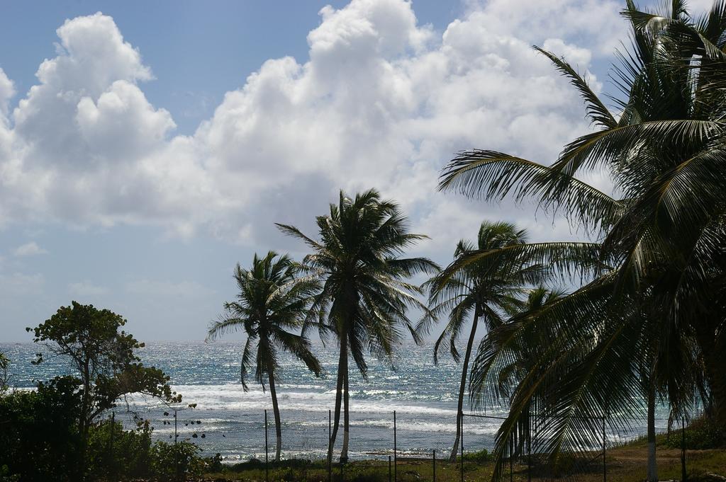Lelagon Vue Mer, Pieds Dans L'eau Apartment Saint-Francois (Grande-Terre)