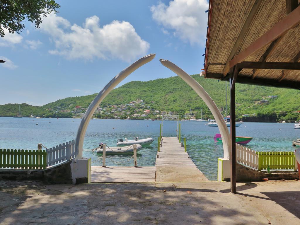 Hotel Tropical Hideaway 5*